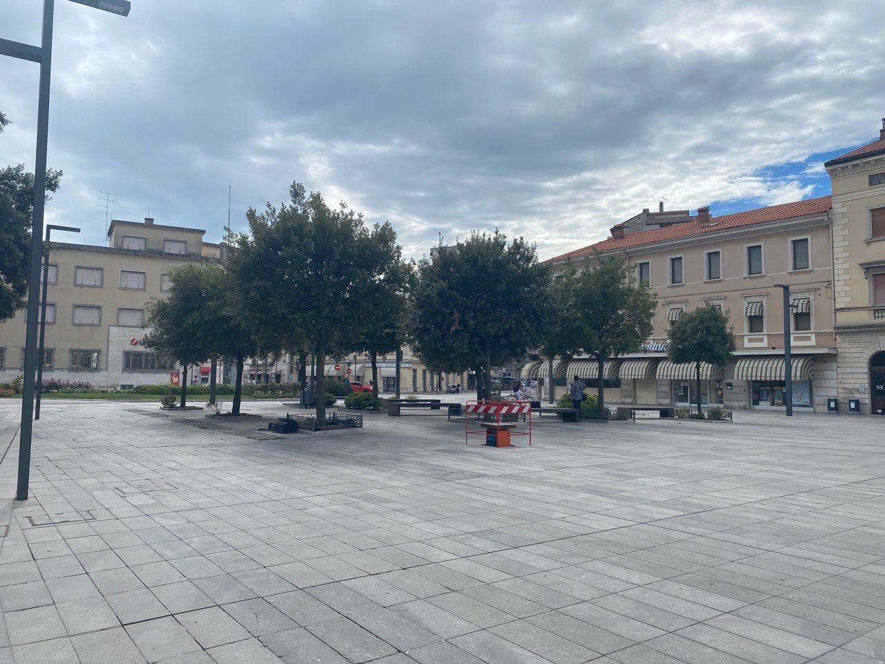 Immagine per Monfalcone, oltre 600 firme online per salvare i lecci in piazza della Repubblica